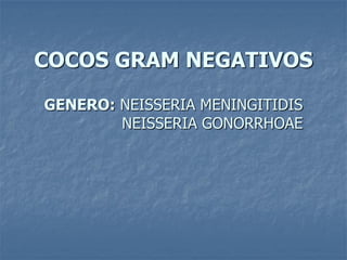 COCOS GRAM NEGATIVOS
GENERO: NEISSERIA MENINGITIDIS
NEISSERIA GONORRHOAE

 