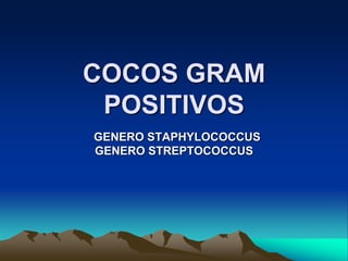 COCOS GRAM
POSITIVOS
GENERO STAPHYLOCOCCUS
GENERO STREPTOCOCCUS

 