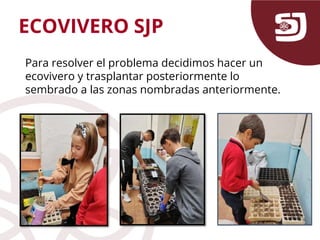 ECOVIVERO SJP
Para resolver el problema decidimos hacer un
ecovivero y trasplantar posteriormente lo
sembrado a las zonas nombradas anteriormente.
 