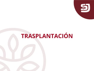 TRASPLANTACIÓN
 
