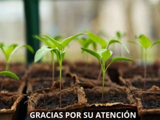 GRACIAS POR SU ATENCIÓN
 