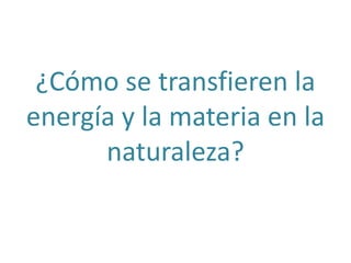 ¿Cómo se transfieren la 
energía y la materia en la 
naturaleza? 
 
