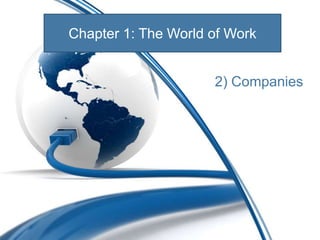 2) Companies
Chapter 1: The World of Work
 