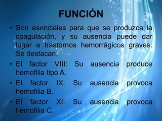 FUNCIÓN
• Son esenciales para que se produzca la
  coagulación, y su ausencia puede dar
  lugar a trastornos hemorrágicos graves.
  Se destacan:
• El factor VIII: Su ausencia produce
  hemofilia tipo A.
• El factor IX: Su ausencia provoca
  hemofilia B.
• El factor XI: Su ausencia provoca
  hemofilia C.
 
