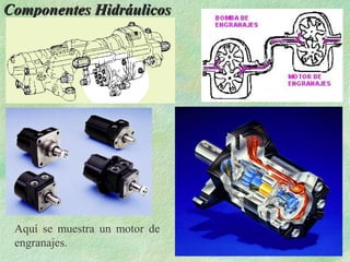 Componentes Hidráulicos




 Aquí se muestra un motor de
 engranajes.
 