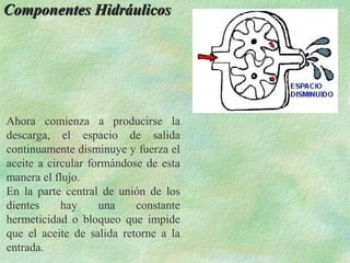 Componentes Hidráulicos




Ahora comienza a producirse la
descarga, el espacio de salida
continuamente disminuye y fuerza el
aceite a circular formándose de esta
manera el flujo.
En la parte central de unión de los
dientes     hay     una    constante
hermeticidad o bloqueo que impide
que el aceite de salida retorne a la
entrada.
 