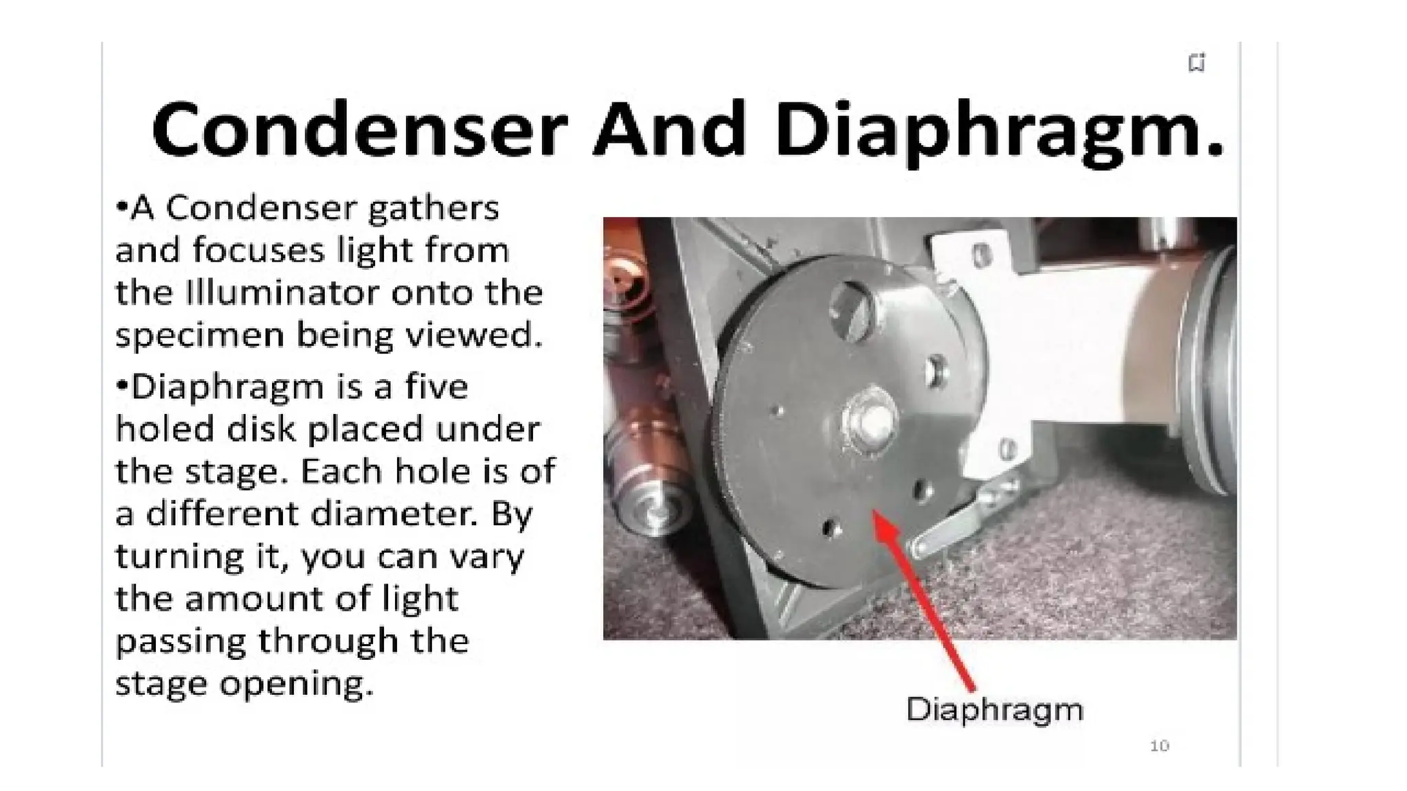 Compound Microscope - Microbiology for Lab Technicians