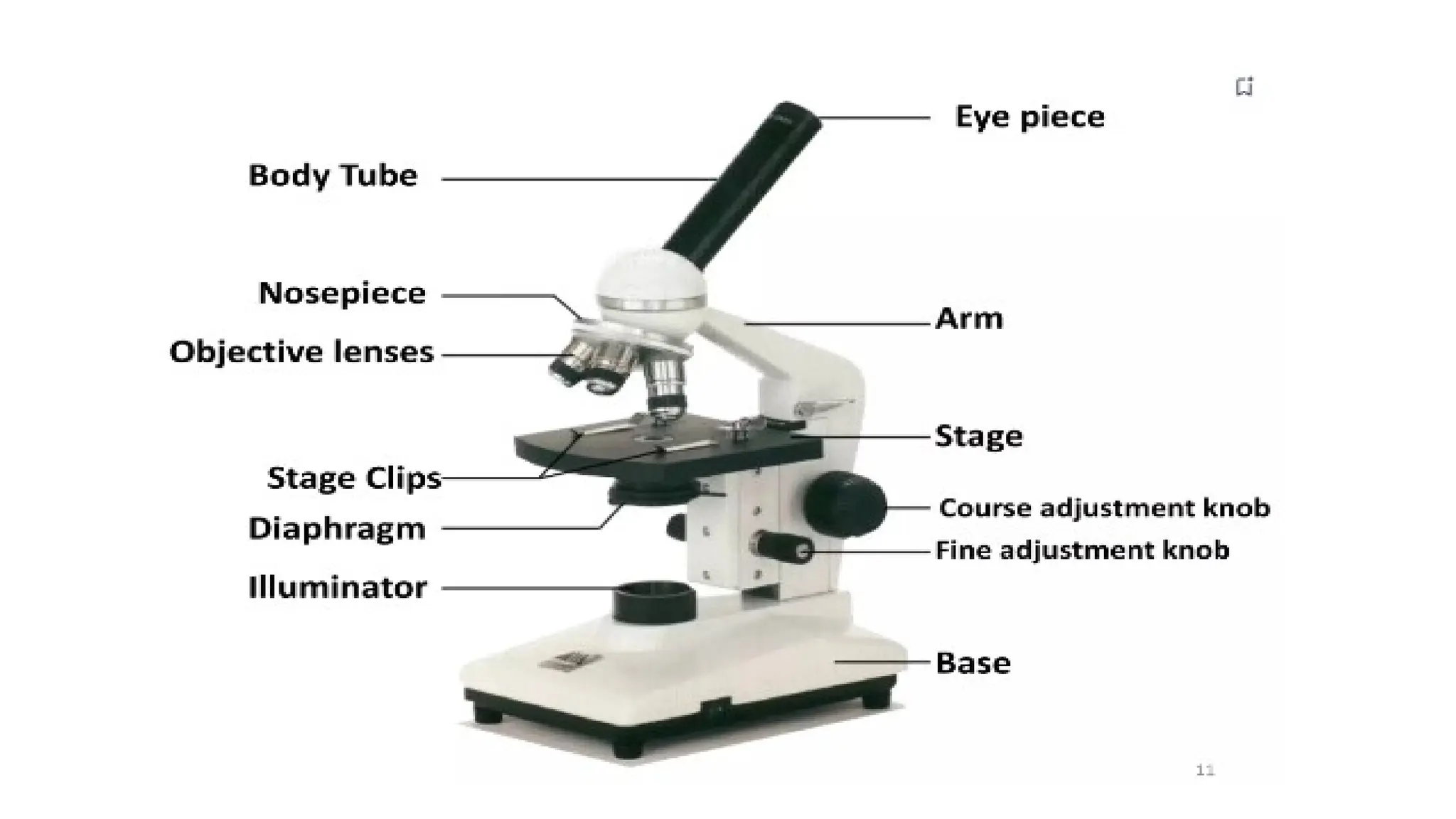Compound Microscope - Microbiology for Lab Technicians