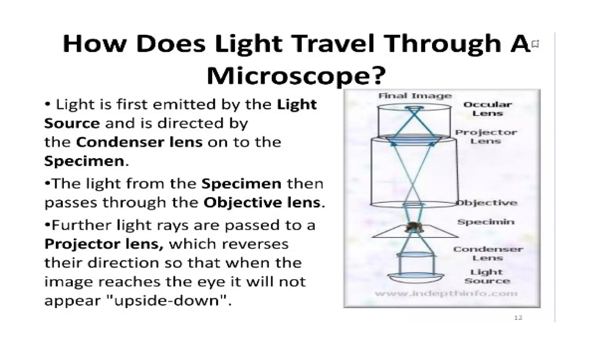 Compound Microscope - Microbiology for Lab Technicians