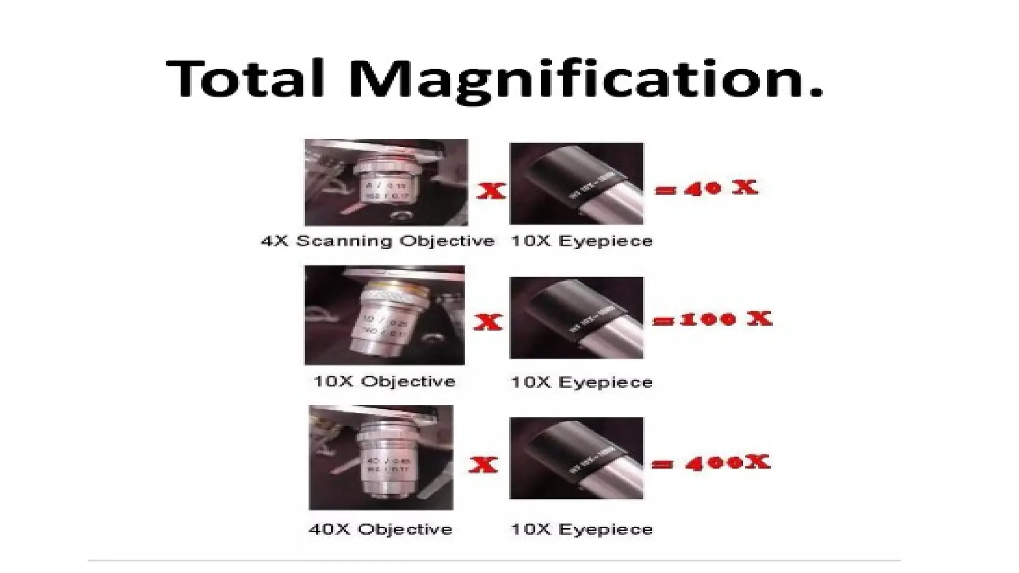 Compound Microscope - Microbiology for Lab Technicians