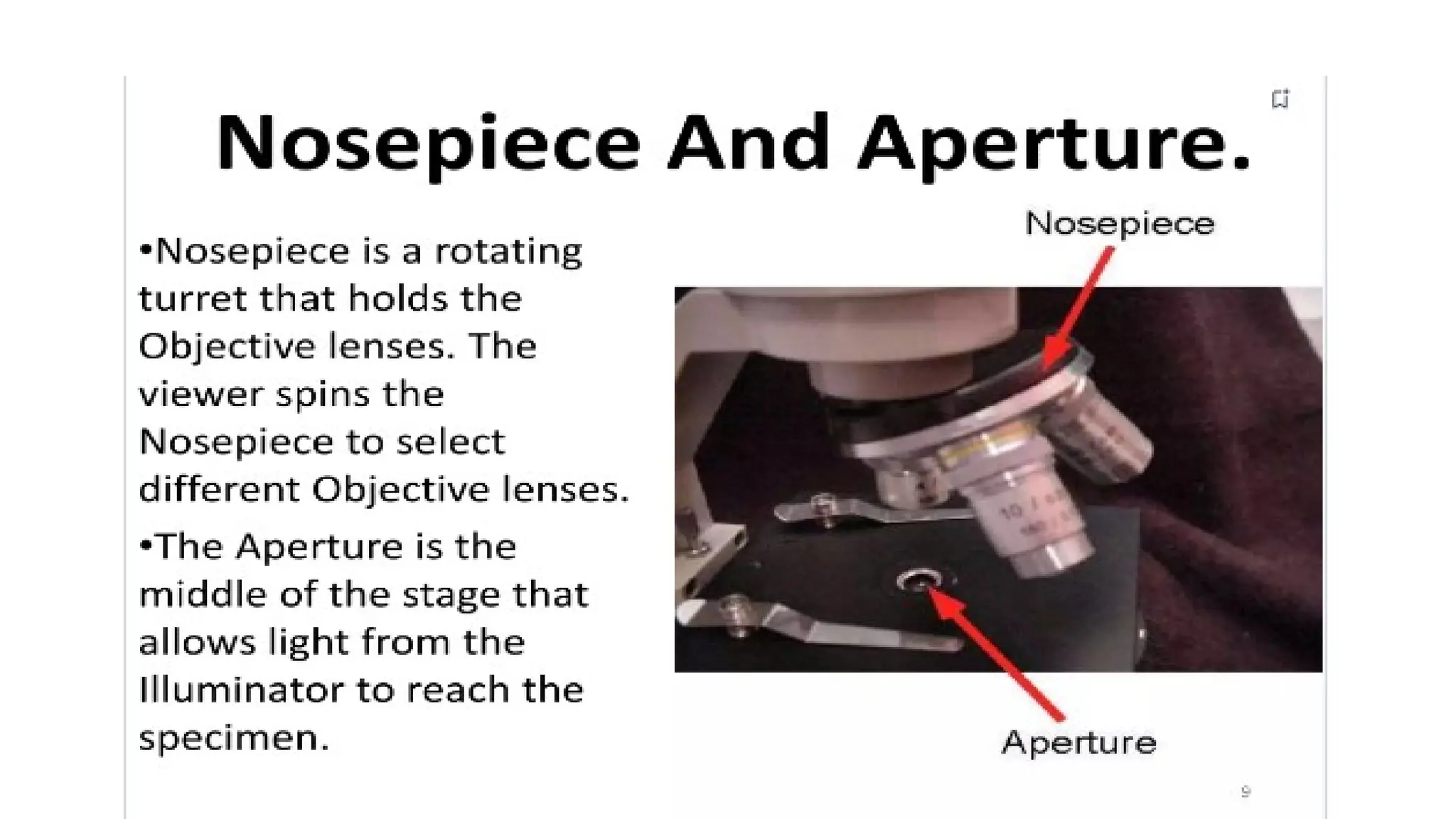 Compound Microscope - Microbiology for Lab Technicians