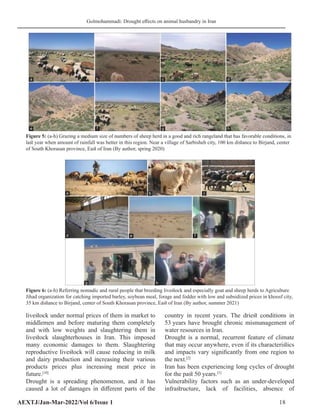 Drought effects on animal husbandry in Iran: Situations, problems, and ...