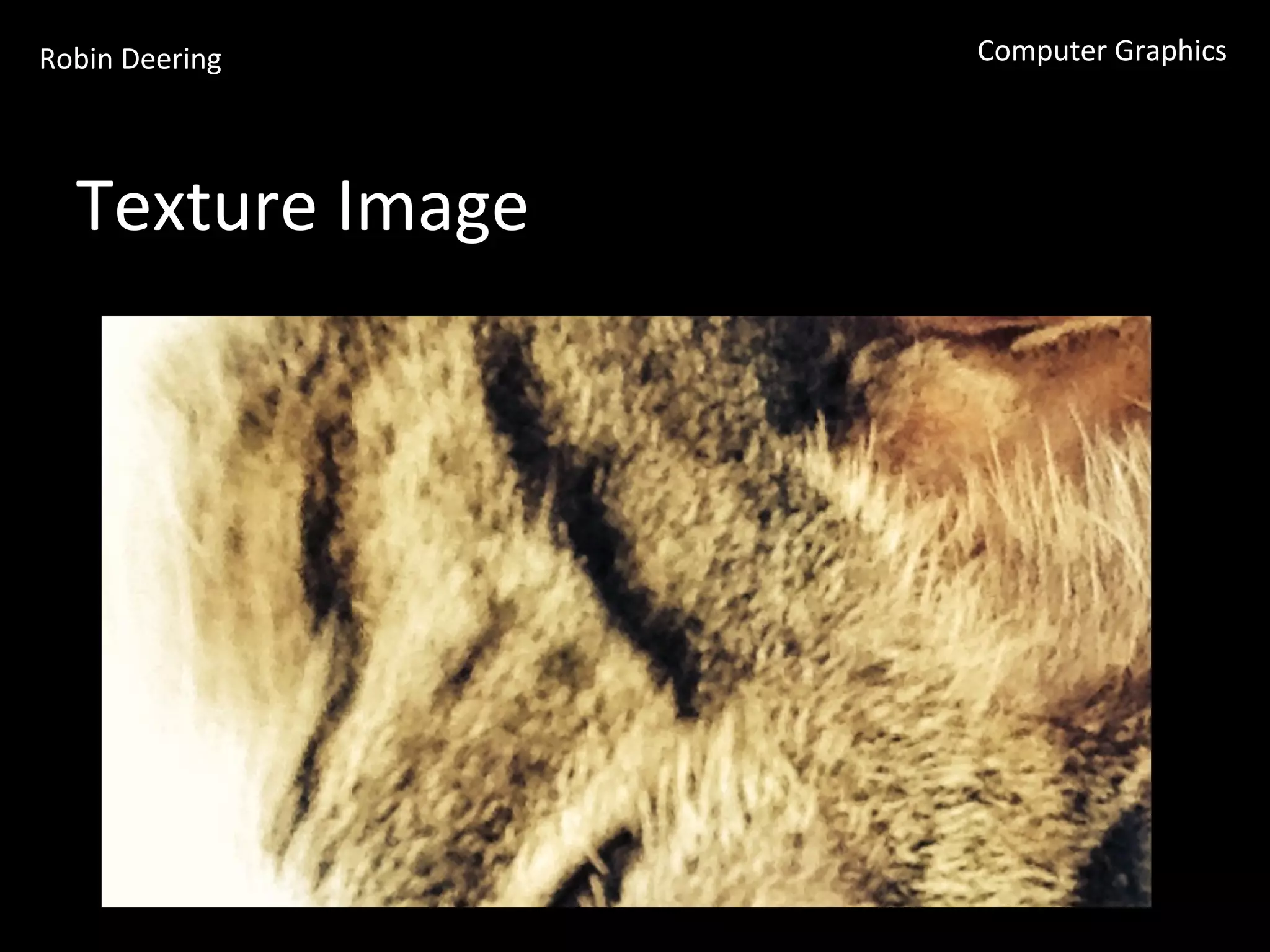 Robin	
  Deering	
   Computer	
  Graphics	
  
Texture	
  Image	
  
 