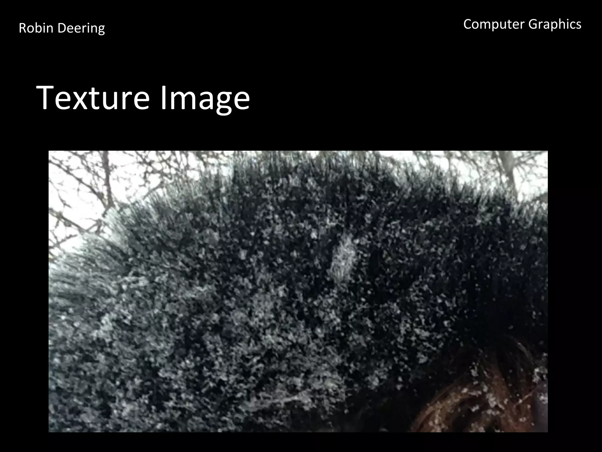 Robin	
  Deering	
   Computer	
  Graphics	
  
Texture	
  Image	
  
 