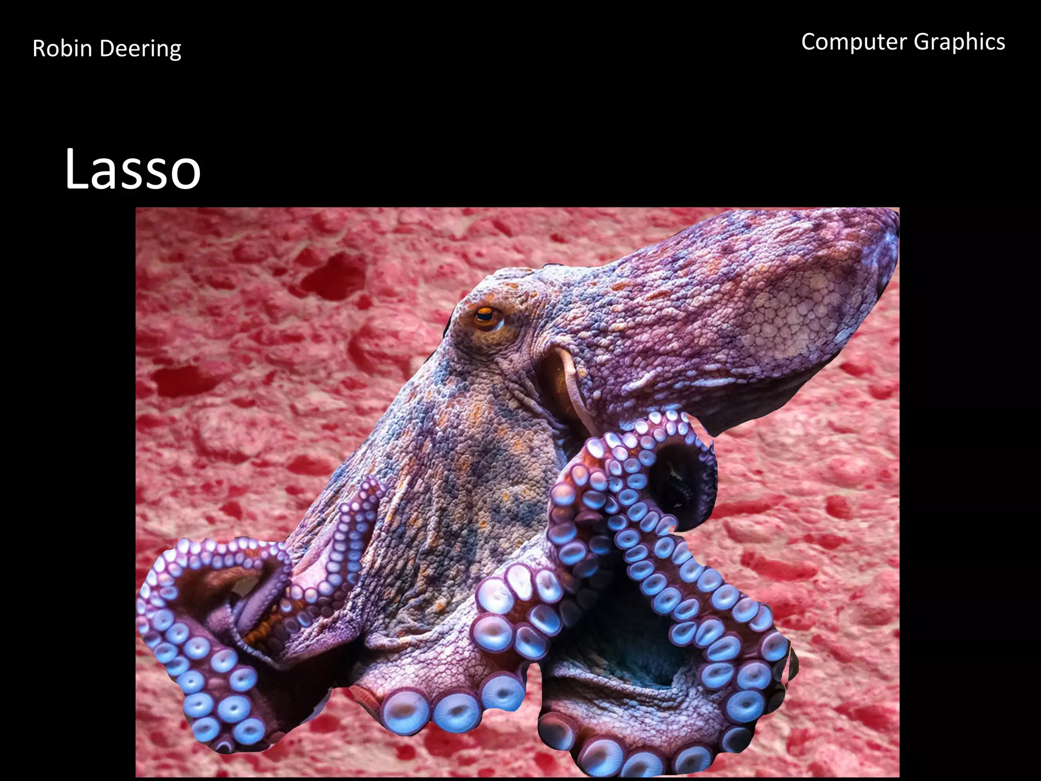 Robin	
  Deering	
   Computer	
  Graphics	
  
Lasso	
  
 