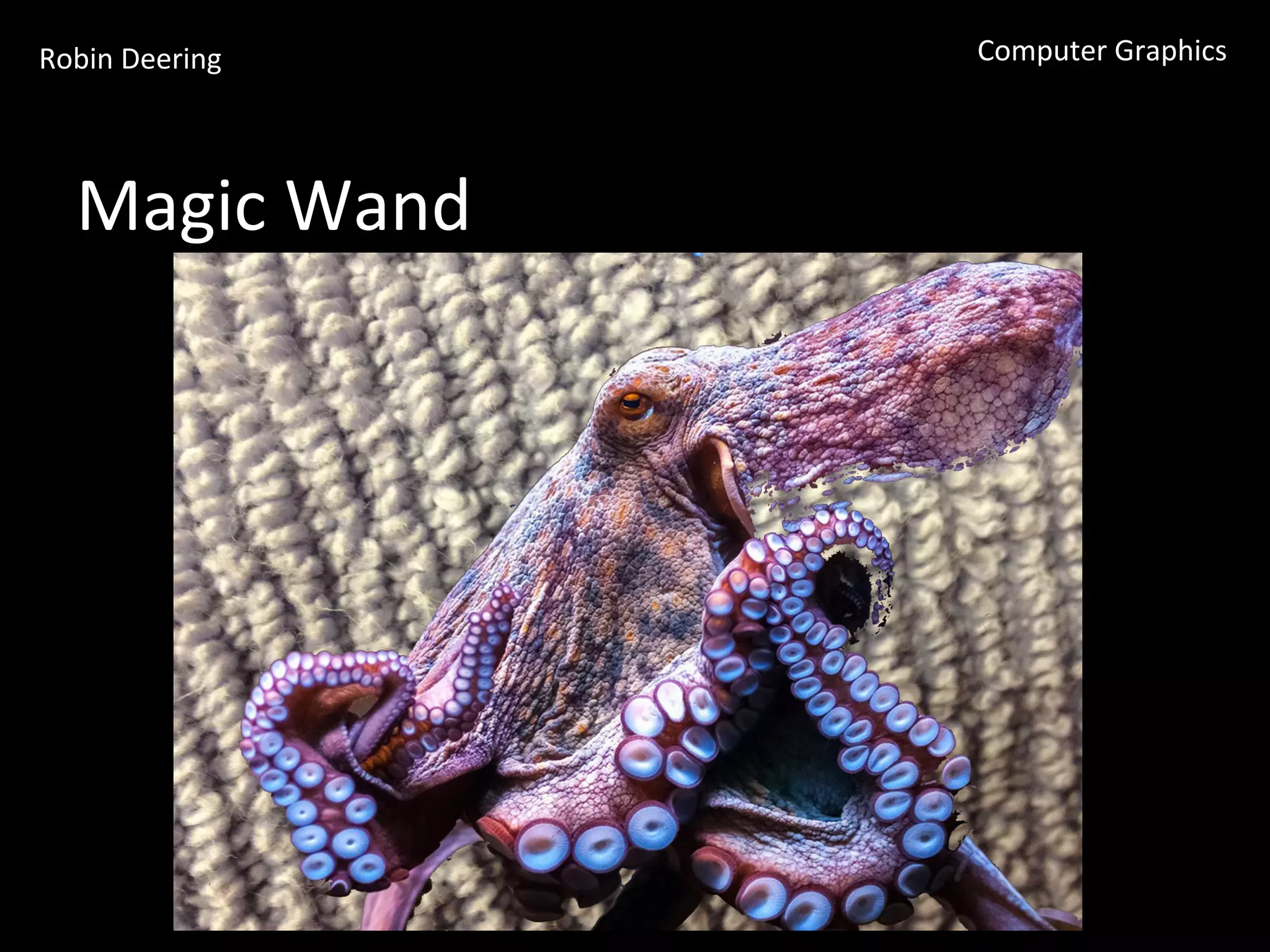 Robin	
  Deering	
   Computer	
  Graphics	
  
Magic	
  Wand	
  
 