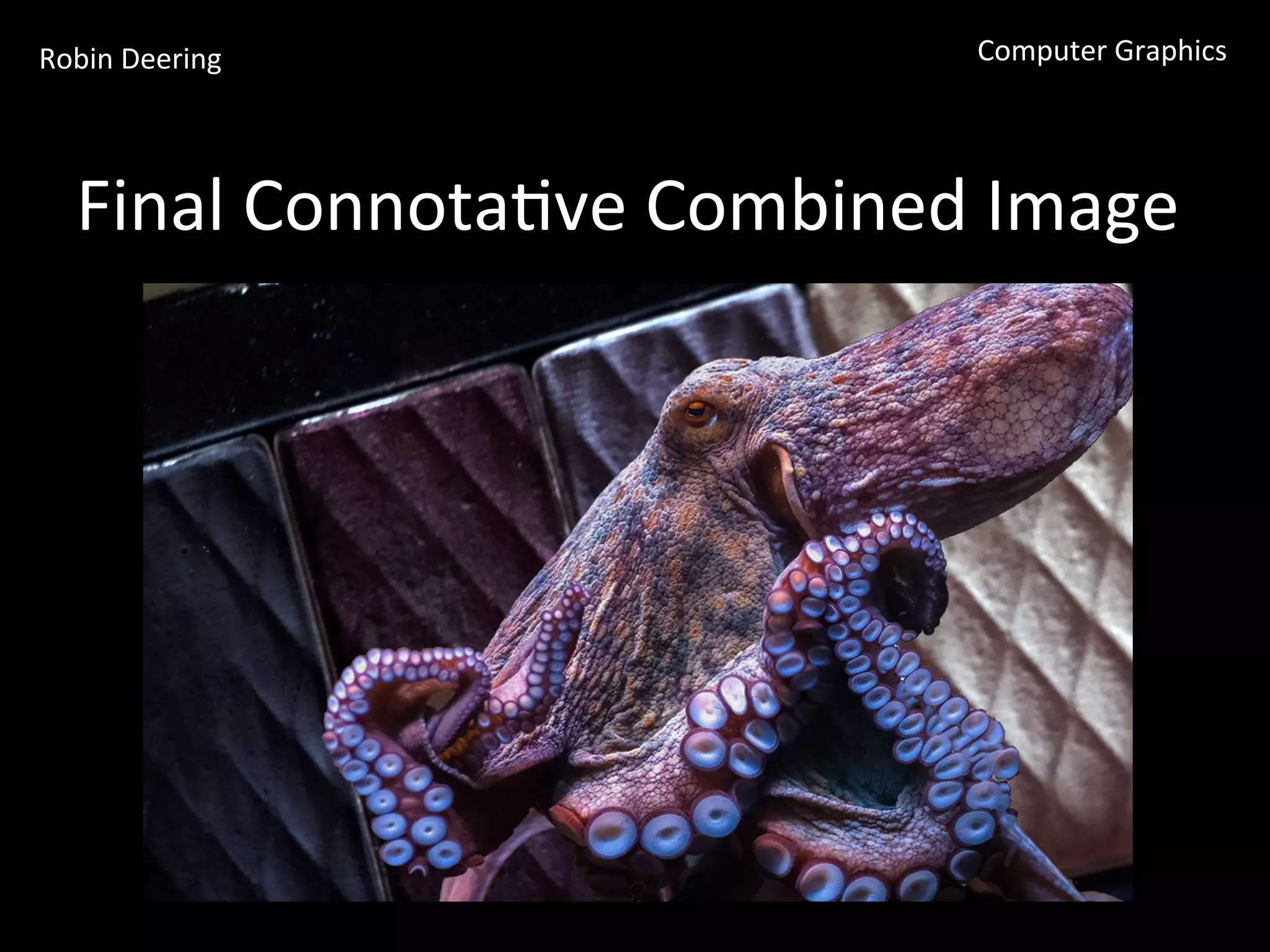 Robin	
  Deering	
   Computer	
  Graphics	
  
Final	
  Connota<ve	
  Combined	
  Image	
  	
  
 