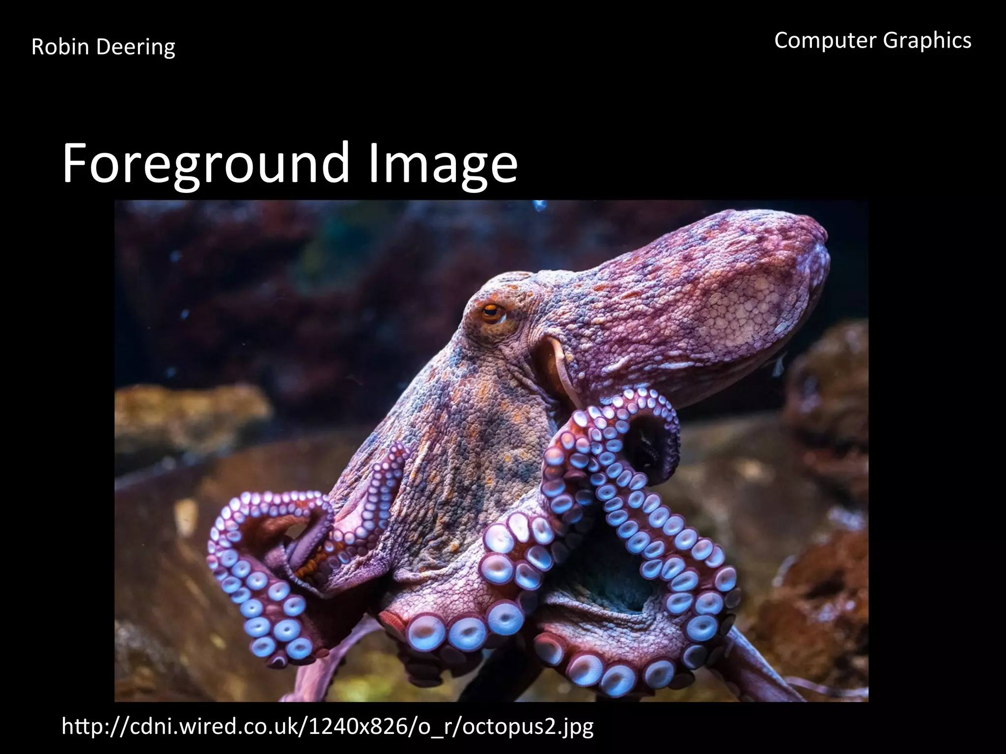 Robin	
  Deering	
   Computer	
  Graphics	
  
Foreground	
  Image	
  
hGp://cdni.wired.co.uk/1240x826/o_r/octopus2.jpg	
  
 