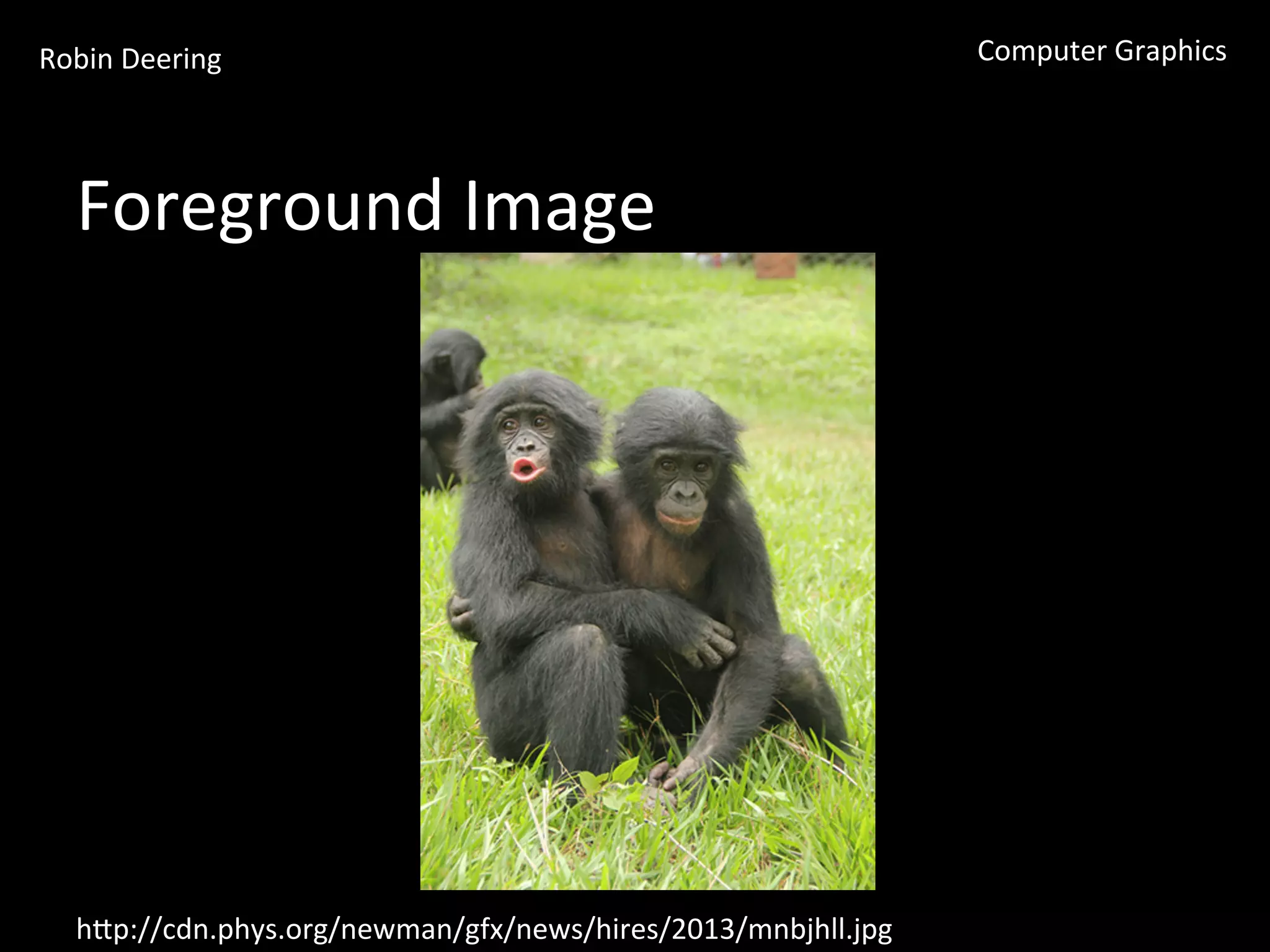Robin	
  Deering	
   Computer	
  Graphics	
  
Foreground	
  Image	
  
hGp://cdn.phys.org/newman/gfx/news/hires/2013/mnbjhll.jpg	
  
 