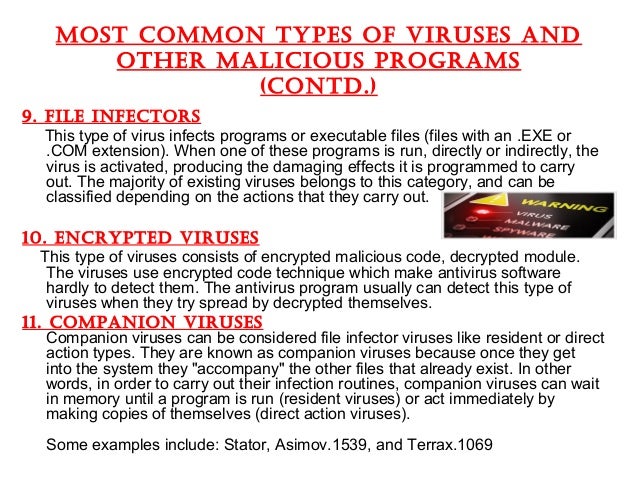the common types of computer viruses