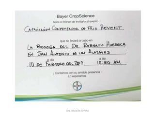 Dra. Alicia De la Peña
 