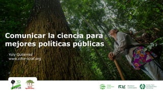 Comunicar la ciencia para
mejores políticas públicas
Yoly Gutiérrez
www.cifor-icraf.org
 