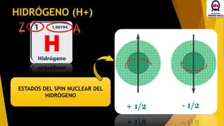 ESTADOS DEL SPIN NUCLEAR DEL
HIDRÓGENO
HIDRÓGENO (H+)
 