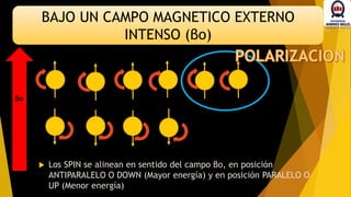  Los SPIN se alinean en sentido del campo βo, en posición
ANTIPARALELO O DOWN (Mayor energía) y en posición PARALELO O
UP (Menor energía)
BAJO UN CAMPO MAGNETICO EXTERNO
INTENSO (βo)
βo
 