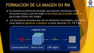 FORMACION DE LA IMAGEN EN RM
 Se necesita un elemento excitador que permita interactuar con la
estructura tisular y que de origen a una señal que se pueda codificar
para luego formar una imagen.
 Las secuencias de pulsos que son los elementos excitadores, permitirán
como objetivo potenciar o ponderar la señal obtenida: T1, T2 Y DP.
 