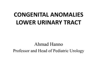 CONGENITAL ANOMALIES
LOWER URINARY TRACT
Ahmad Hanno
Professor and Head of Pediatric Urology
 