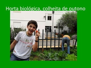 Horta biológica, colheita de outono
 