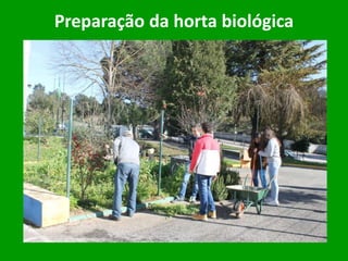 Preparação da horta biológica
 