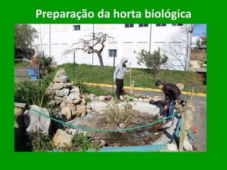 Preparação da horta biológica
 