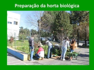 Preparação da horta biológica
 