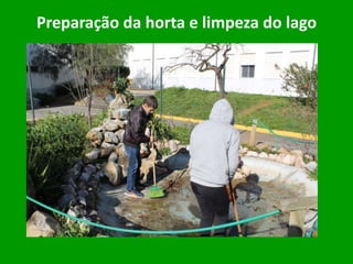 Preparação da horta e limpeza do lago
 