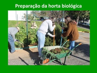 Preparação da horta biológica
 