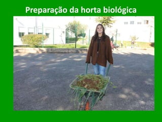 Preparação da horta biológica
 