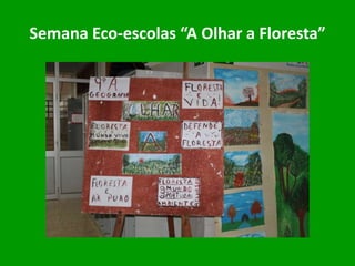 Semana Eco-escolas “A Olhar a Floresta”
 