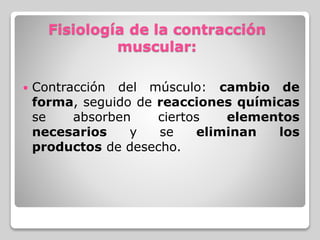 Fisiología de la contracción
muscular:
 Contracción del músculo: cambio de
forma, seguido de reacciones químicas
se absorben ciertos elementos
necesarios y se eliminan los
productos de desecho.
 