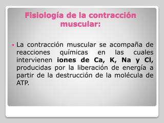 Fisiología de la contracción
muscular:
 La contracción muscular se acompaña de
reacciones químicas en las cuales
intervienen iones de Ca, K, Na y Cl,
producidas por la liberación de energía a
partir de la destrucción de la molécula de
ATP.
 