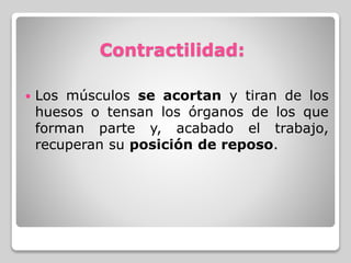 Contractilidad:
 Los músculos se acortan y tiran de los
huesos o tensan los órganos de los que
forman parte y, acabado el trabajo,
recuperan su posición de reposo.
 