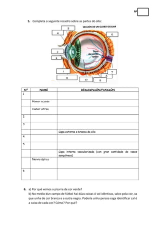 Nº


     5. Completa o seguinte recadro sobre as partes do ollo:




    Nº        NOME                          DESCRIPC...