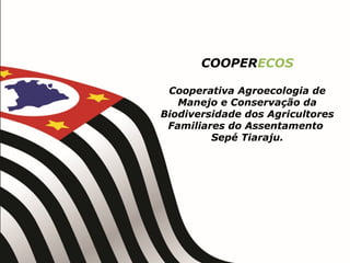 COOPERECOS
Cooperativa Agroecologia de
Manejo e Conservação da
Biodiversidade dos Agricultores
Familiares do Assentamento
Sepé Tiaraju.
 