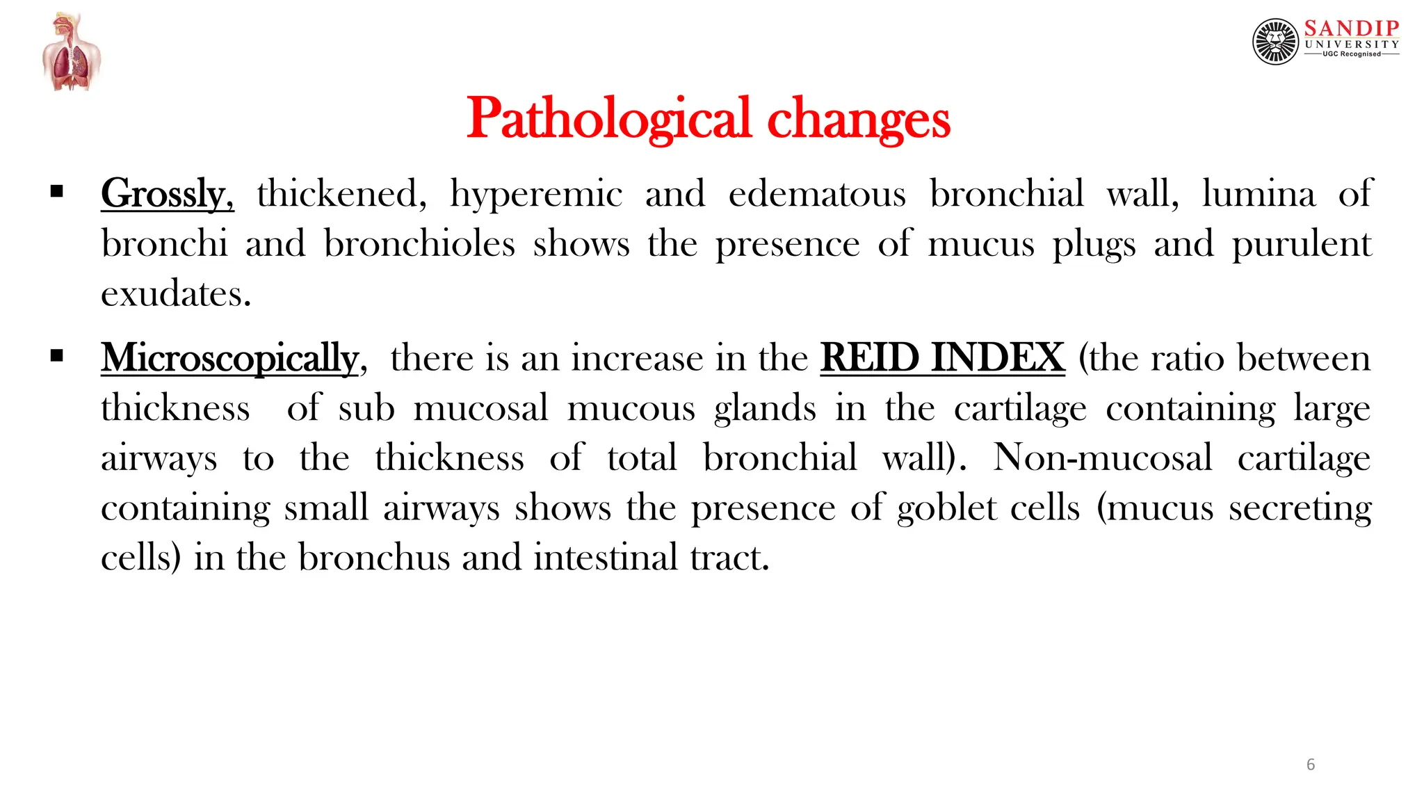 Pathological changes
 Grossly, thickened, hyperemic and edematous bronchial wall, lumina of
bronchi and bronchioles shows the presence of mucus plugs and purulent
exudates.
 Microscopically, there is an increase in the REID INDEX (the ratio between
thickness of sub mucosal mucous glands in the cartilage containing large
airways to the thickness of total bronchial wall). Non-mucosal cartilage
containing small airways shows the presence of goblet cells (mucus secreting
cells) in the bronchus and intestinal tract.
6
 