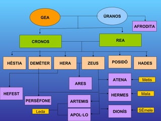 GEA ÚRANOS CRONOS REA HÈSTIA ARES AFRODITA DEMÈTER HERA ZEUS POSIDÓ HADES ARTEMIS APOL·LO HERMES DIONÍS ATENA HEFEST PERSÈFONE Leda MaIa SÈmele Metis 