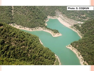 Photo: S. COŞKUN
 