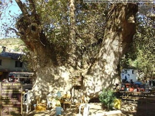2 course 2.1 ecotourism in izmir