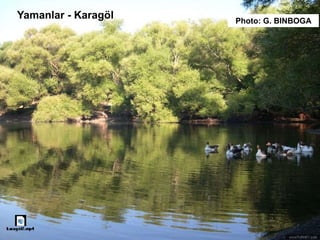 Yamanlar - Karagöl Photo: G. BINBOGA
 