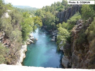 Photo: S. COŞKUN
 