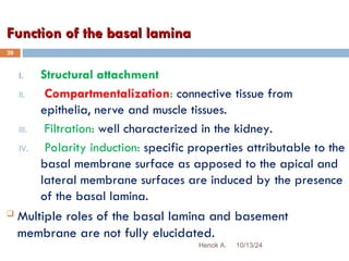 COVERING EPITHELIUM.ppt and its characteristics | PPT